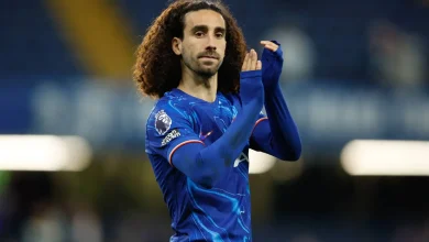 كوكوريلا، تشيلسي
