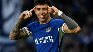 إنزو فرنانديز، تشيلسي