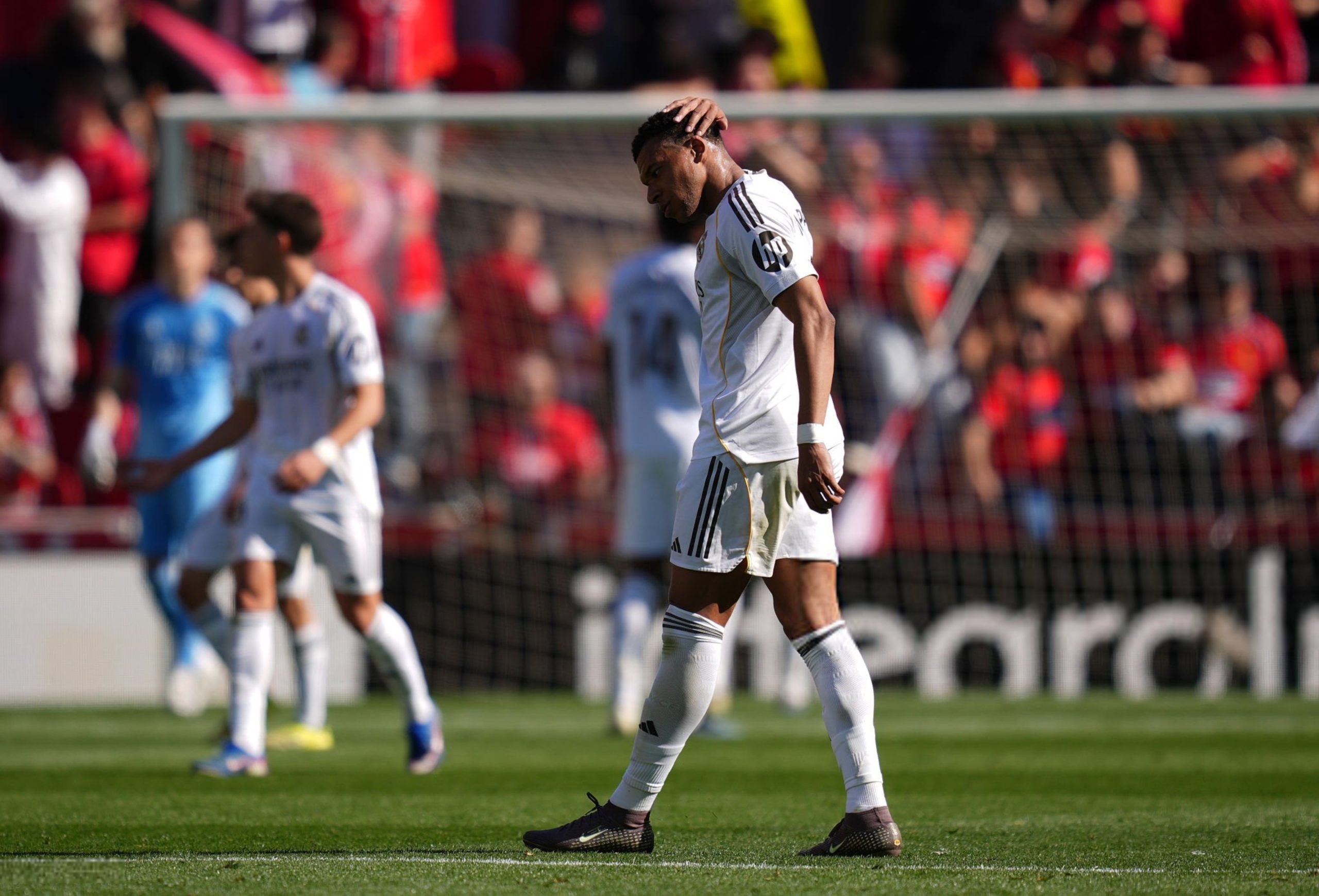 ريال مدريد