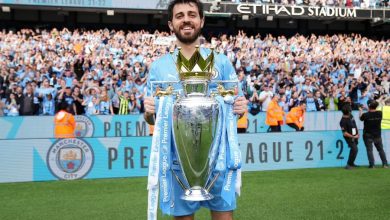 سيلفا، مانشستر سيتي