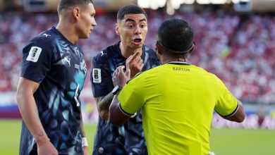 كأس العالم، ألميرون، فينيسيوس