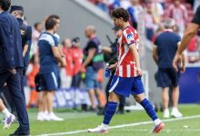 ألفاريز، برشلونة، أتلتيكو مدريد