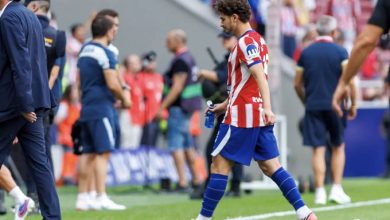 ألفاريز، برشلونة، أتلتيكو مدريد