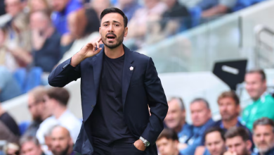 دافيد أنشيلوتي، ريال مدريد، ليل