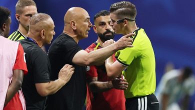 التوأم، المنتخب المصري، حسام حسن